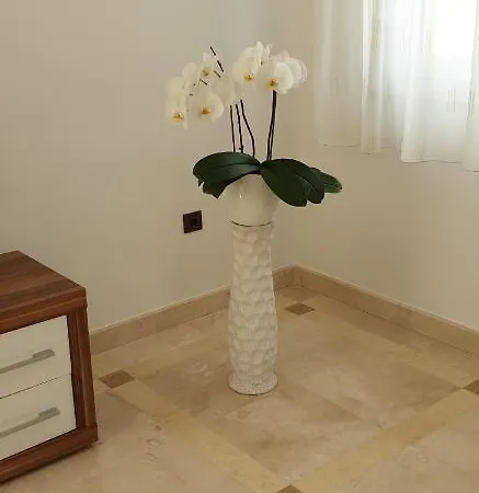 Apartment Apartman Palit 4988b Rab Town